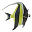 Moorish Idol Fish Pose 2 Modello 3D