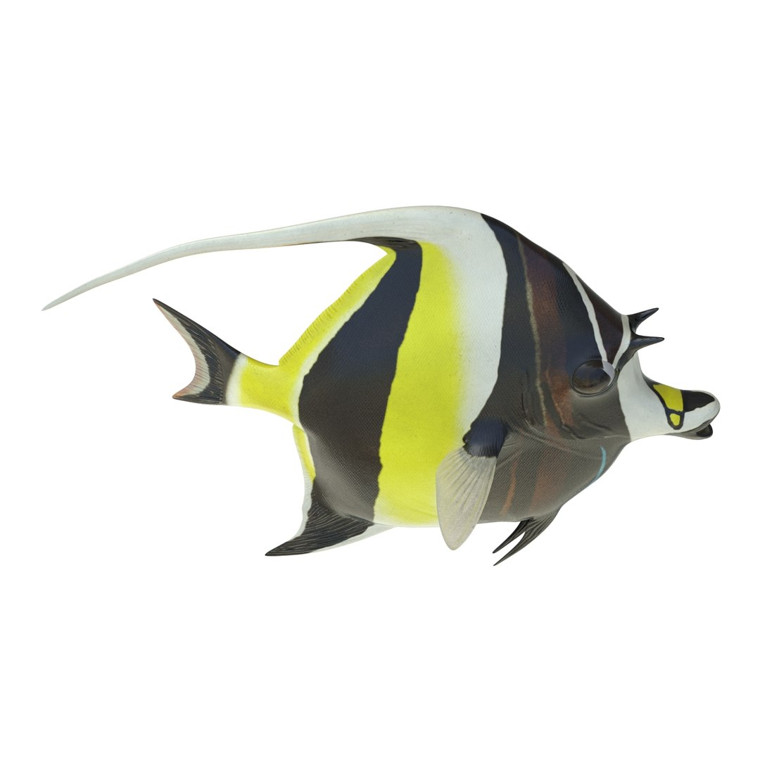 moorish idol fish pose 3d c4d https://p.turbosquid.com/ts-thumb/vf/mwyILL/yWJ8TuNG/moorishidolfish3ds3dmodel13/jpg/1461593397/1920x1080/fit_q87/07d89a4fba7ebf2921c6f8ef3340bb06ee2000db/moorishidolfish3ds3dmodel13.jpg