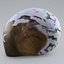 Sea Shell 2