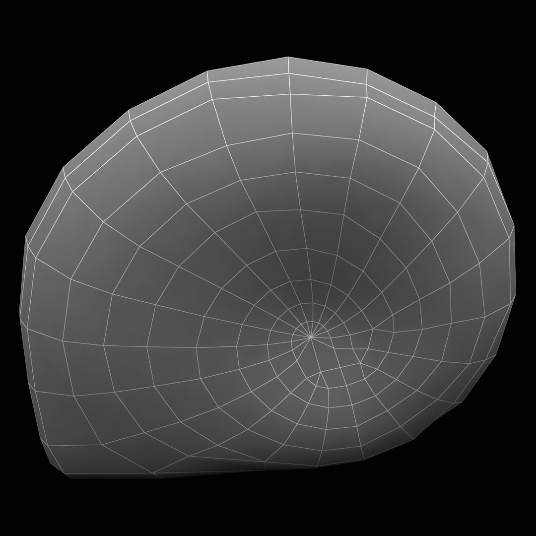 sea shell 3d model https://p.turbosquid.com/ts-thumb/vf/z5S2yu/BAnIhNmL/sea_shell_2_016/jpg/1355858580/1920x1080/fit_q87/b617bff5cac3346d42d62fc858ce25cfc34b2b79/sea_shell_2_016.jpg