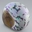 Sea Shell 2