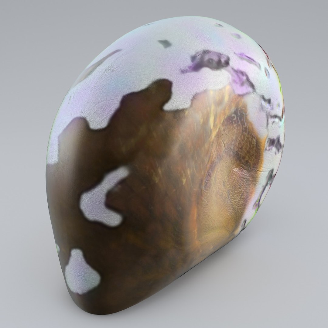 sea shell 3d model https://p.turbosquid.com/ts-thumb/vf/z5S2yu/Sd2m6PLj/sea_shell_2_007/jpg/1355858589/1920x1080/fit_q87/3784b6e9d9fa422e2739f45e2a5d7c0696af94db/sea_shell_2_007.jpg