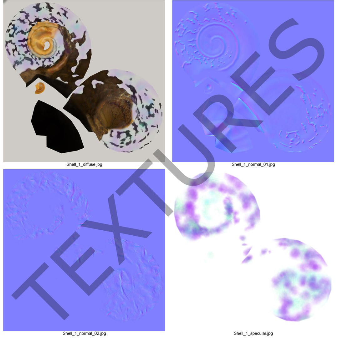 sea shell 3d model https://p.turbosquid.com/ts-thumb/vf/z5S2yu/hbzsmxSn/sea_shell_2_002/jpg/1355858581/1920x1080/fit_q87/a634a837a293098a2c78509914b173887f454b15/sea_shell_2_002.jpg