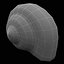 Sea Shell 2