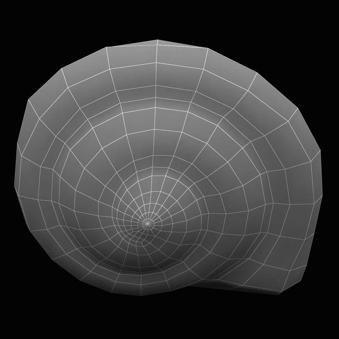 sea shell 3d model https://p.turbosquid.com/ts-thumb/vf/z5S2yu/qPCjQoFf/sea_shell_2_012/jpg/1355858595/1920x1080/fit_q87/cfa860fb18e65b8532f205f6792f4b094bfa4c0b/sea_shell_2_012.jpg