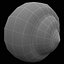 Sea Shell 2