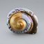 Sea Shell 2