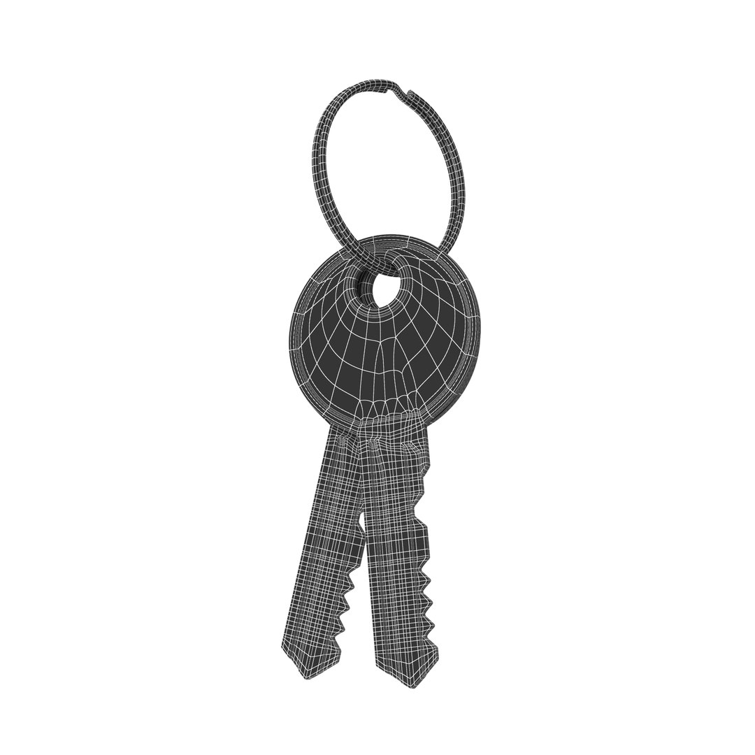 Keys 3D - TurboSquid 1905587