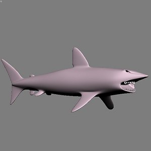 shark polygons 3d model