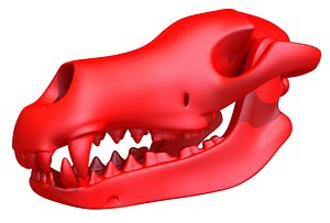 Printable Dog Skull 3D Model for 3D Printer