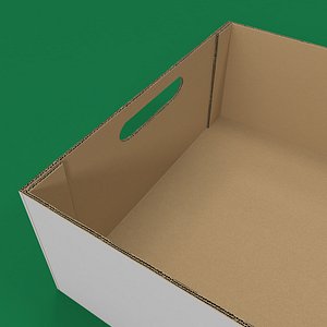 Cardboard Box