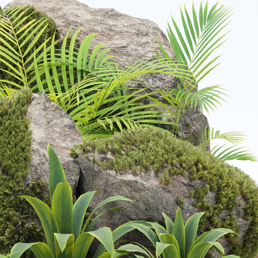 3D model Rock and Tropical Plants 3D Model Collection Vol 297 https://p.turbosquid.com/ts-thumb/vg/Ka3t2p/8T/3/jpg/1758404651/1920x1080/fit_q87/dd98d6516775d44de585a7ce26b80791343e1ca4/3.jpg