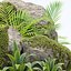Collection de modèles 3D de plantes rocheuses et tropicales Vol 297