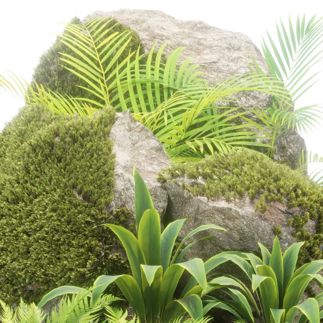 3D model Rock and Tropical Plants 3D Model Collection Vol 297 https://p.turbosquid.com/ts-thumb/vg/Ka3t2p/NL/4/jpg/1758404653/1920x1080/fit_q87/c2d7d02539a2566cf08419686c504426ea34da44/4.jpg