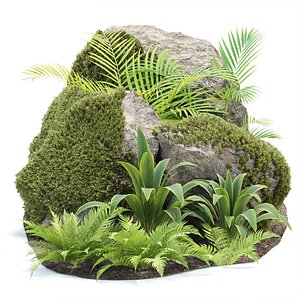 3D model Rock and Tropical Plants 3D Model Collection Vol 297