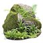 Collection de modèles 3D de plantes rocheuses et tropicales Vol 297