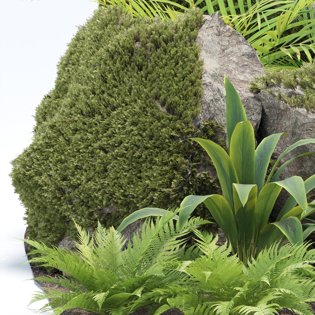 3D model Rock and Tropical Plants 3D Model Collection Vol 297 https://p.turbosquid.com/ts-thumb/vg/Ka3t2p/rD/2/jpg/1758404648/1920x1080/fit_q87/c22e7d271f6f8ed041b23c0af6866123c7cc4b89/2.jpg