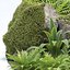 Collection de modèles 3D de plantes rocheuses et tropicales Vol 297