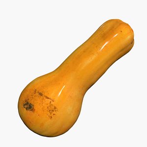 Pumpkin 3D Scan High Quality