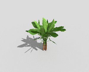 3d plant