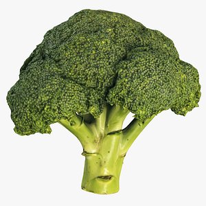 broccoli  scanned  4k model