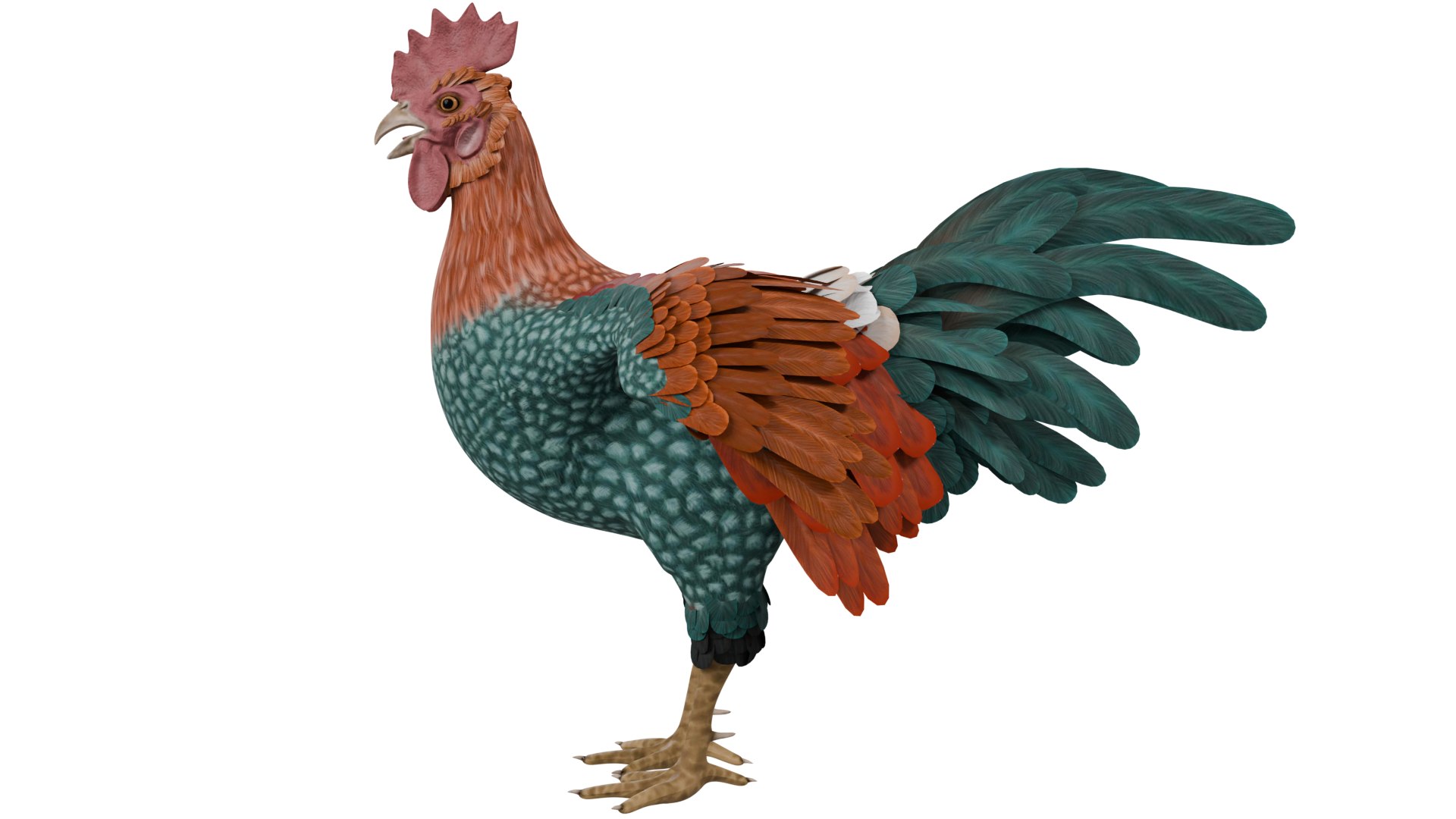 3D Chicken - TurboSquid 2387706