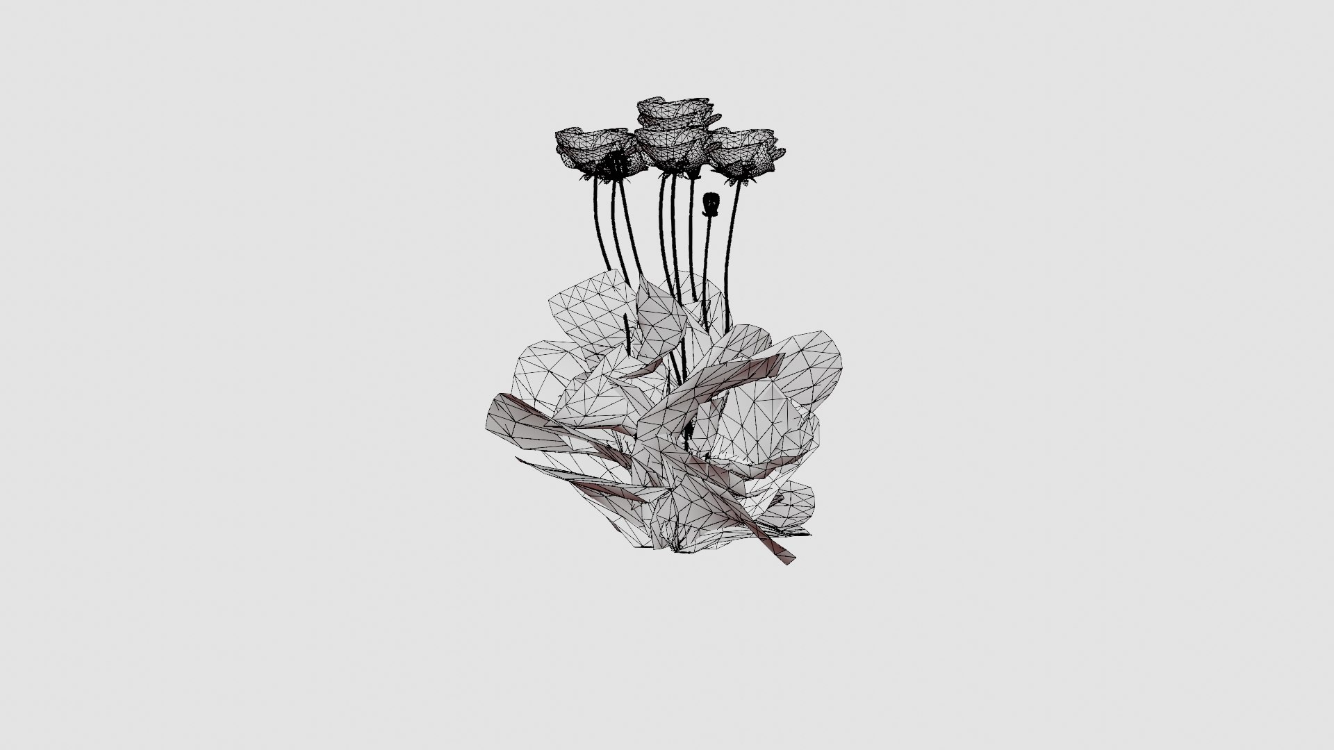 Papaver orientale Turkenlouis Orientvalmue model https://p.turbosquid.com/ts-thumb/vg/jfyJVG/FW/preview_7/jpg/1719813780/1920x1080/fit_q87/a482339f41be990e9dc688194d798450d1e364f3/preview_7.jpg