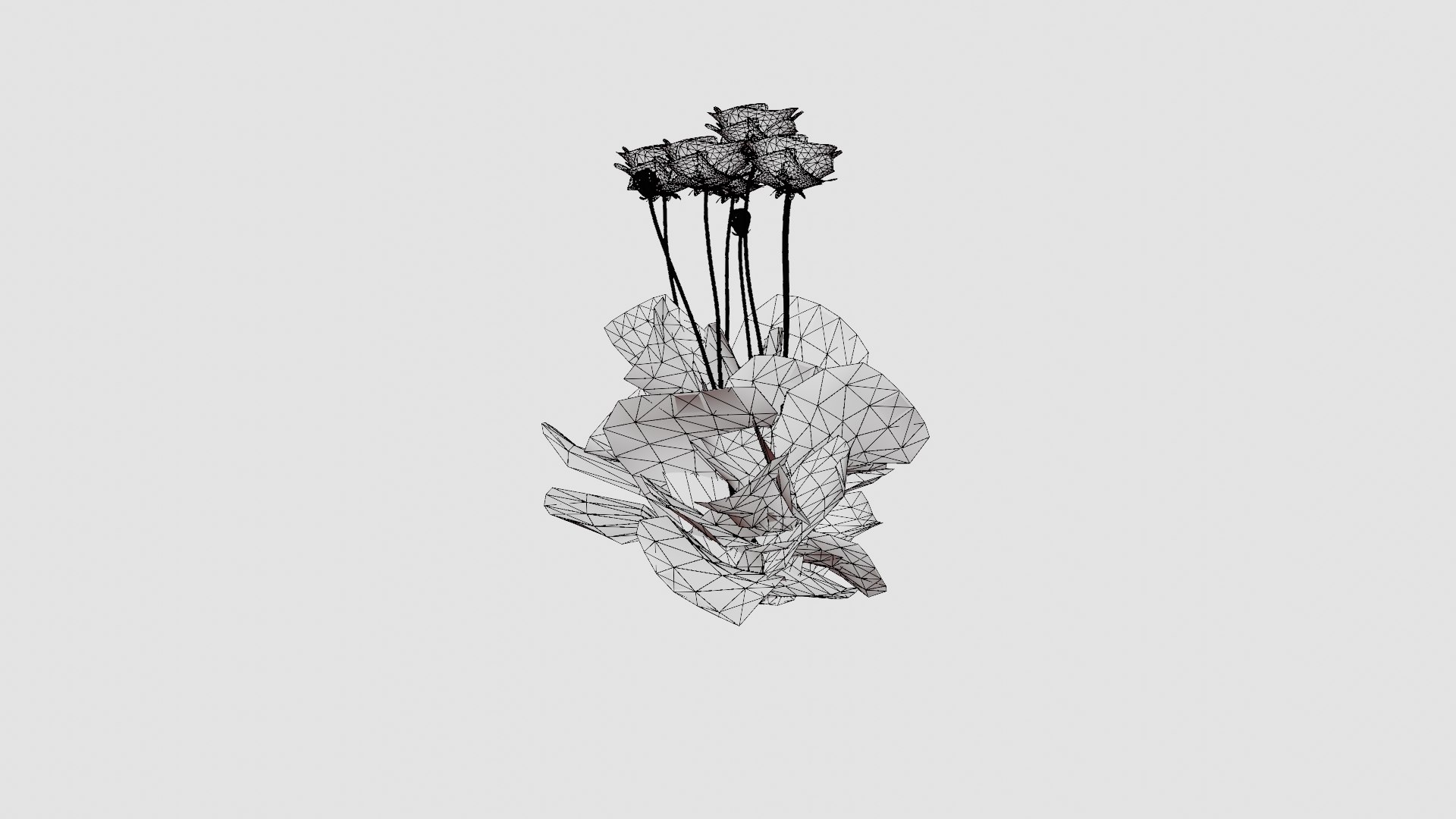 Papaver orientale Turkenlouis Orientvalmue model https://p.turbosquid.com/ts-thumb/vg/jfyJVG/JM/preview_6/jpg/1719813776/1920x1080/fit_q87/0fc15411328868bc0c199c3518053a1191ed1851/preview_6.jpg