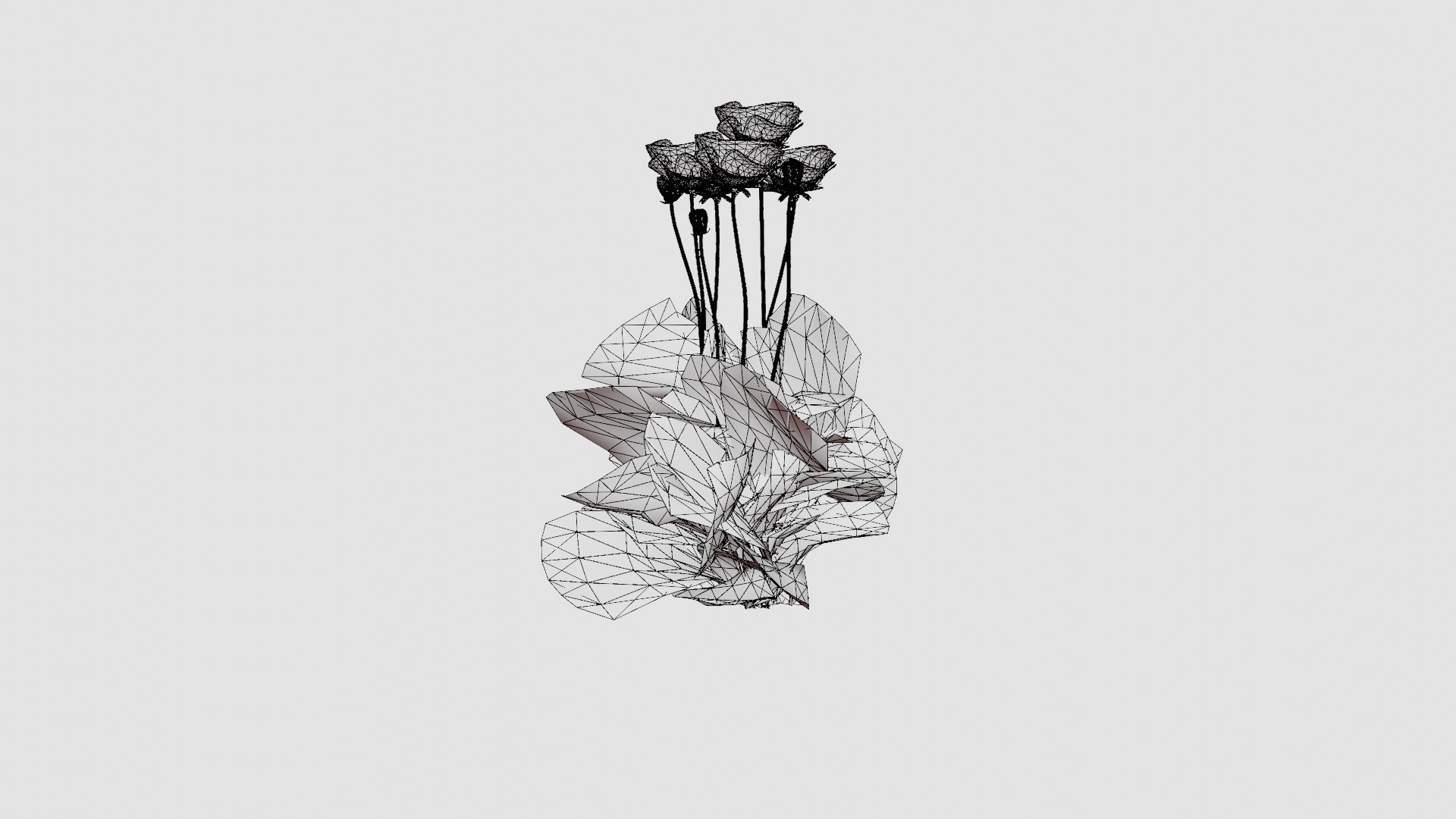 Papaver orientale Turkenlouis Orientvalmue model https://p.turbosquid.com/ts-thumb/vg/jfyJVG/jy/preview_5/jpg/1719813772/1920x1080/fit_q87/64ec920888a33e537c29bda89da6900d6d6c567b/preview_5.jpg
