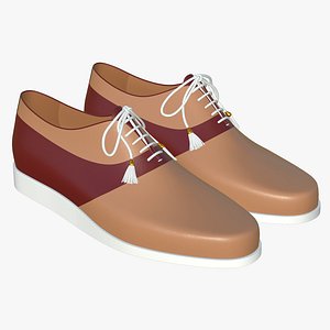 Leather Lace Up Shoes V15 3D