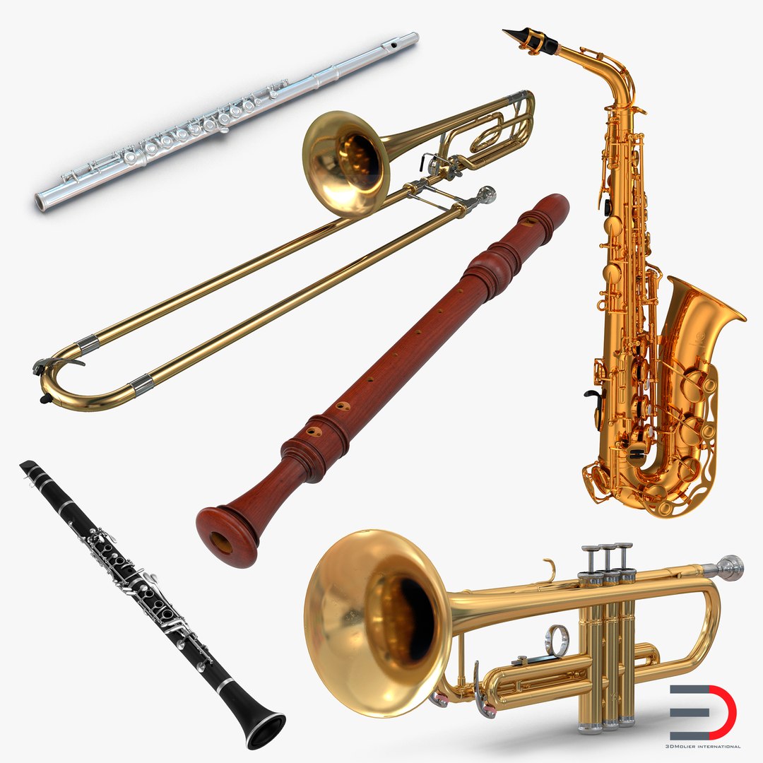 Woodwind Instruments Collection 3D model preview