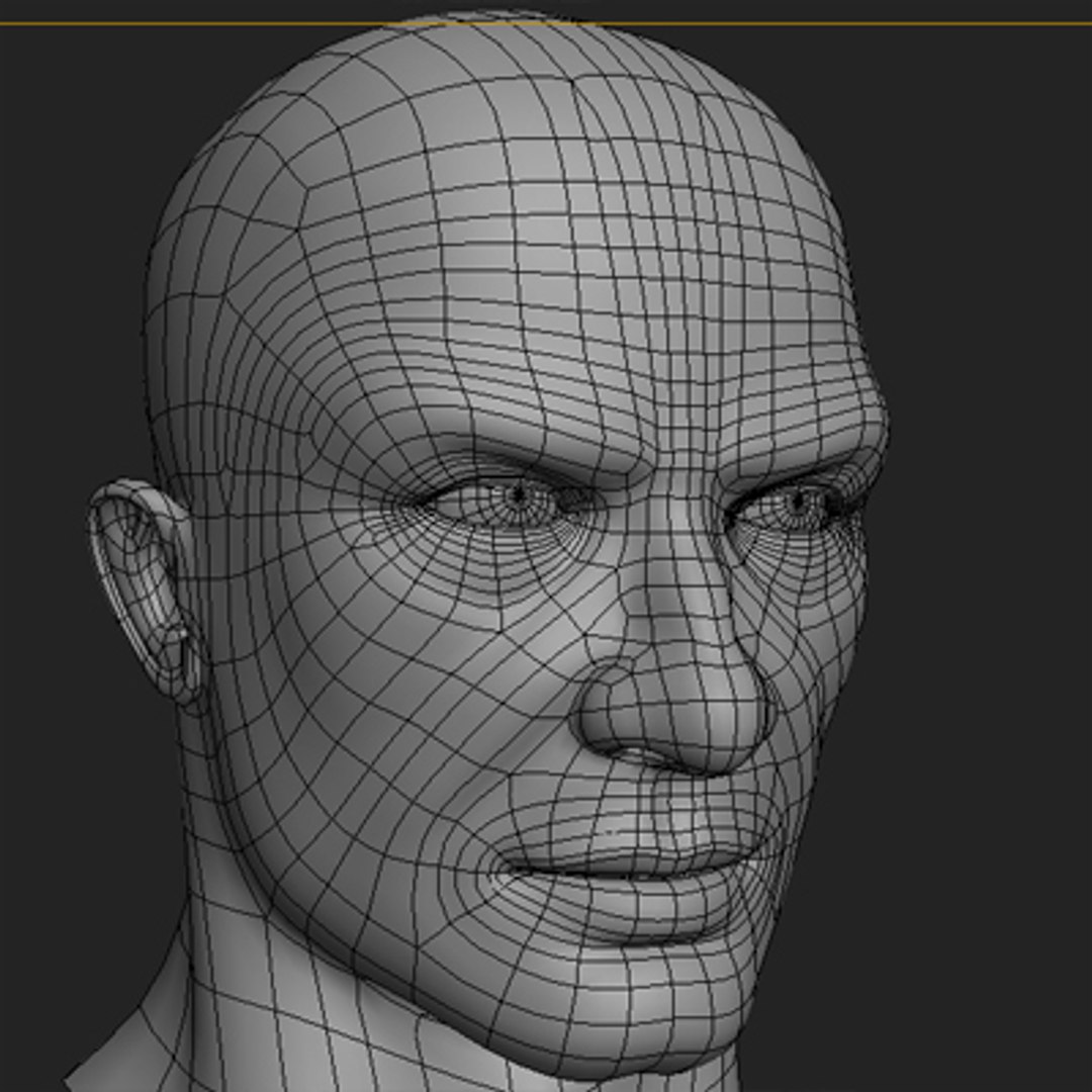 3d model polygonal male head layed