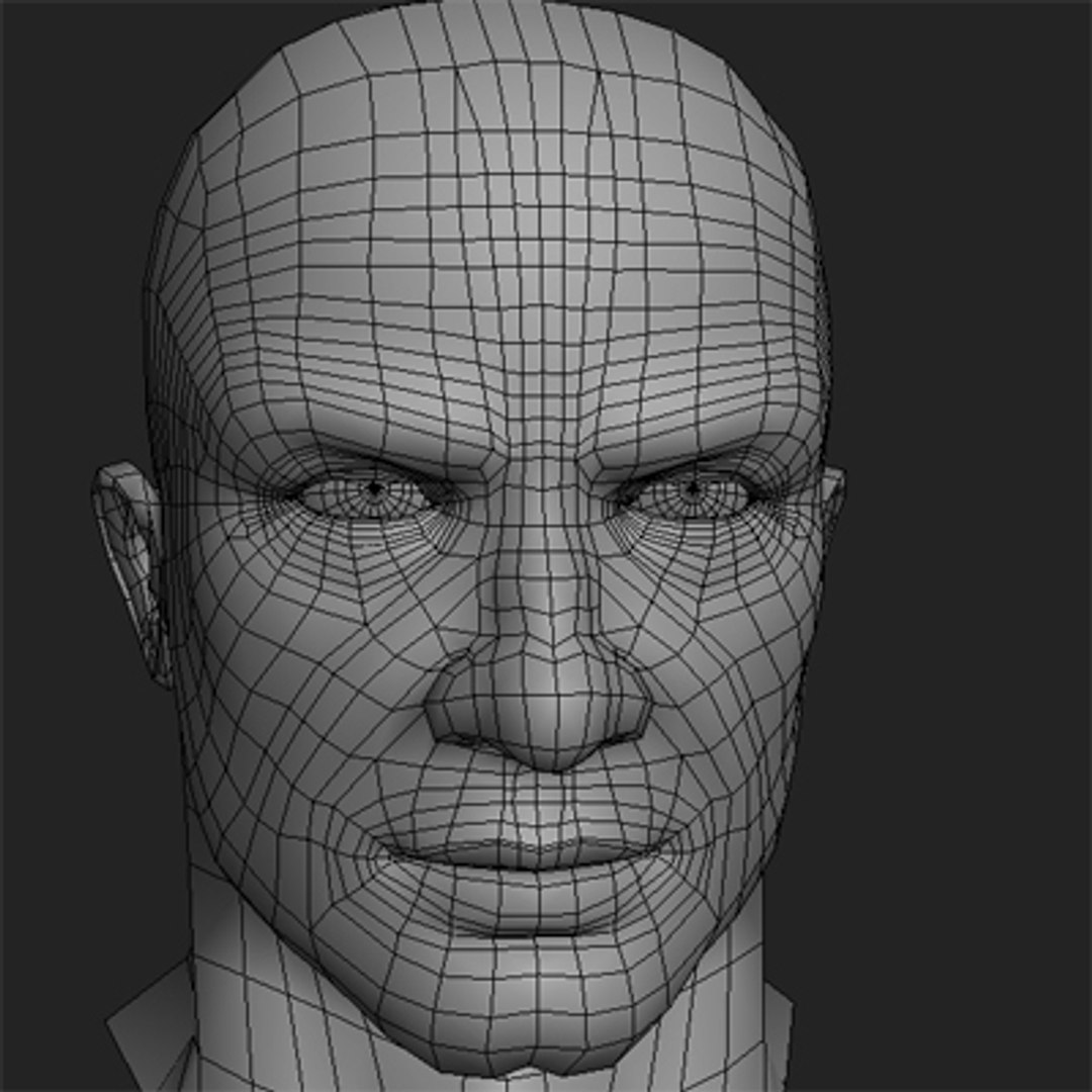 3d Model Polygonal Male Head Layed