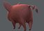 3D pig cartoon v02 animal