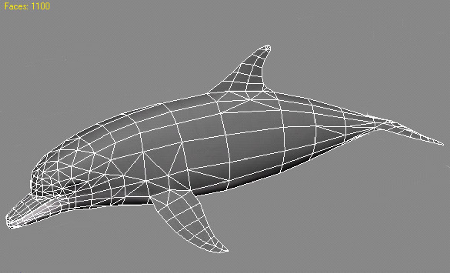 3d dolphin model