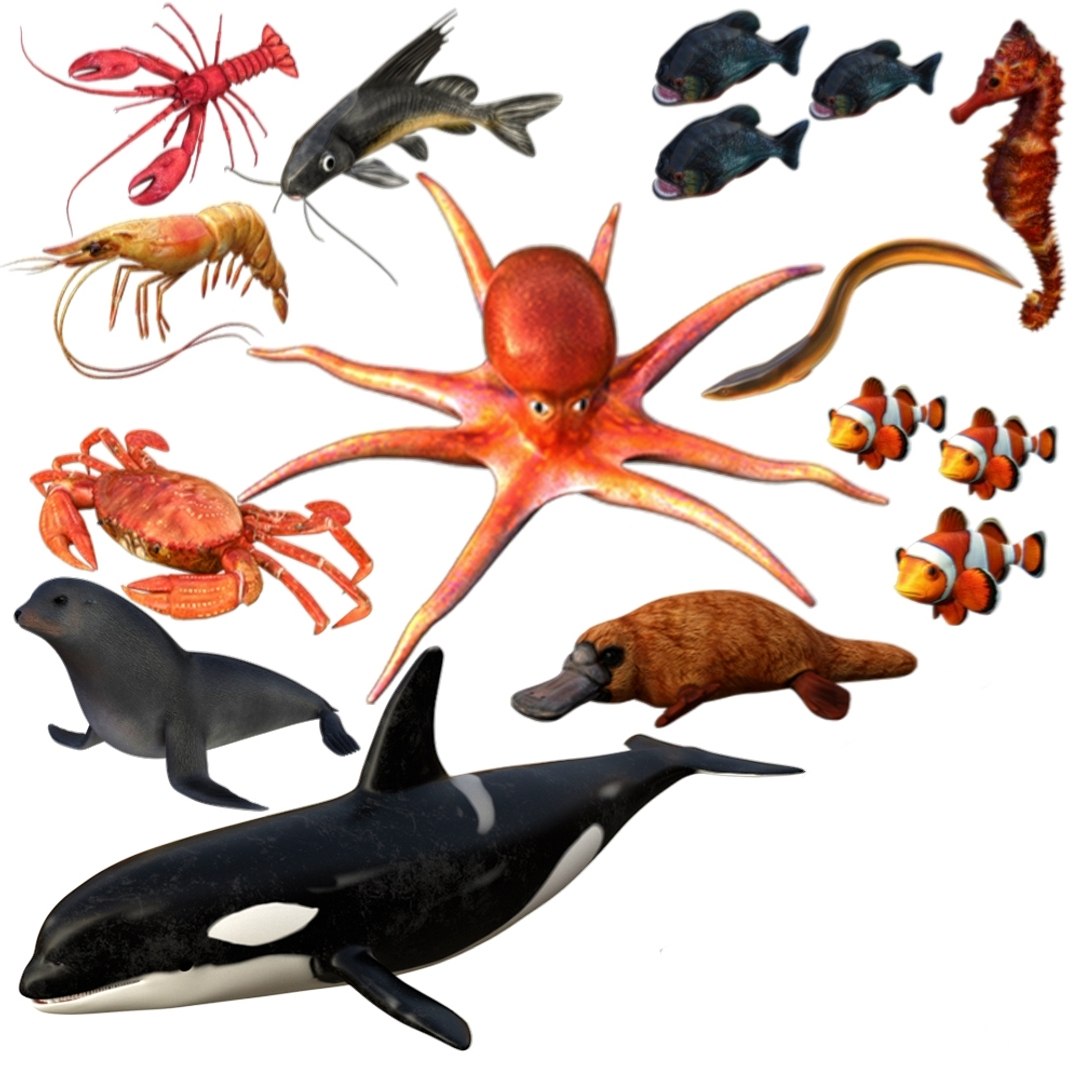 3D aquatic animal water https://p.turbosquid.com/ts-thumb/vg/yBlQPw/Tj/img_20220404_025241/jpg/1649021008/1920x1080/fit_q87/c8b1e5fa6429eb7d0a6b37039b010b12d194f803/img_20220404_025241.jpg