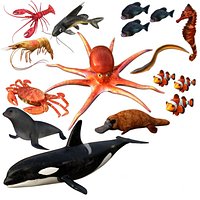 Rigged Low Poly Aquatic Water Animal Collection