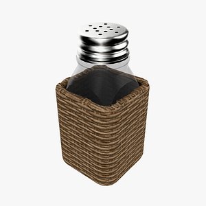 Salt Shaker model