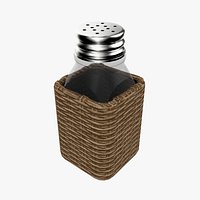 Salt Shaker1