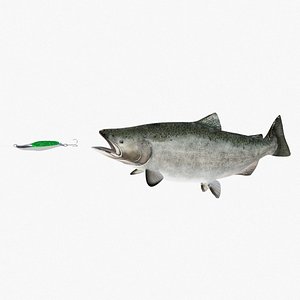 king salmon fish lure 3D model