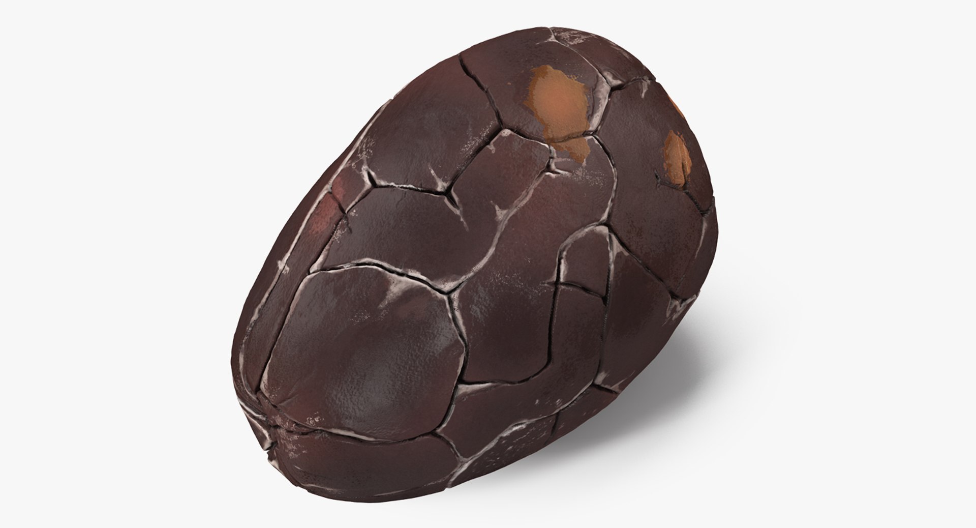 Cocoa Bean 3D model preview