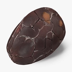 cocoa bean model