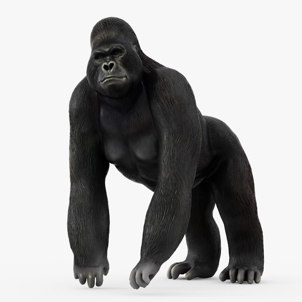 置物ゴリラ3Dモデル - TurboSquid 1363729