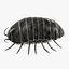 armadillidium vulgare fbx