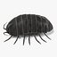 armadillidium vulgare fbx