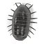 armadillidium vulgare fbx