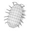 armadillidium vulgare fbx