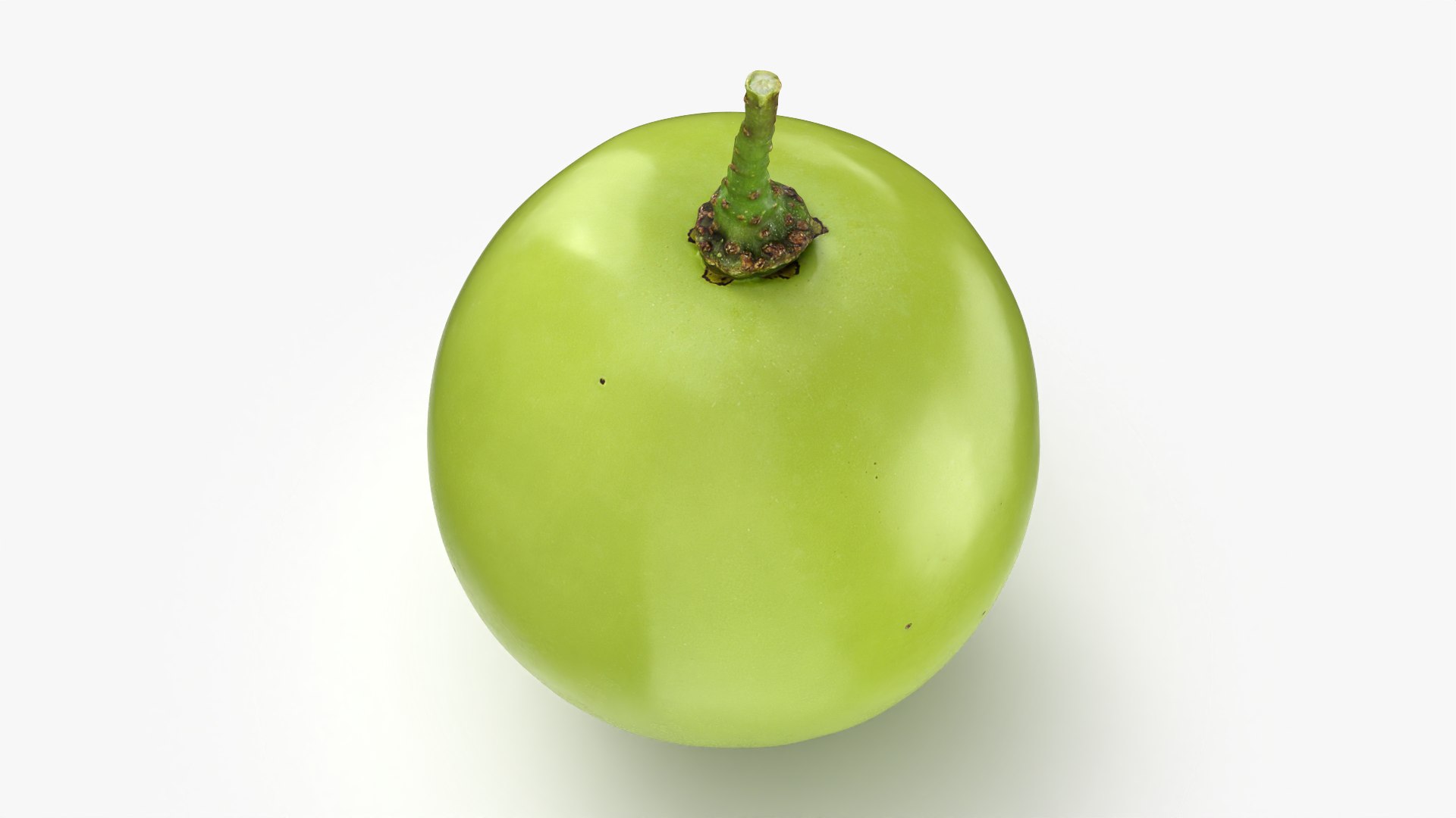 Green Grape 02 - 3D Scanned model https://p.turbosquid.com/ts-thumb/vh/kud91p/1x/grapegreen02_0003/png/1781682540/1920x1080/fit_q87/3fecf862e8716e48895d5df516c75f3aeee778ec/grapegreen02_0003.jpg
