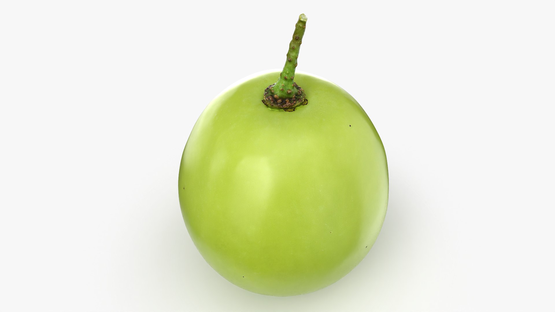 Green Grape 02 - 3D Scanned model https://p.turbosquid.com/ts-thumb/vh/kud91p/Nn/grapegreen02_0007/png/1781682545/1920x1080/fit_q87/a2e4c9232ce4254199aa11baad20243c7ae050c5/grapegreen02_0007.jpg