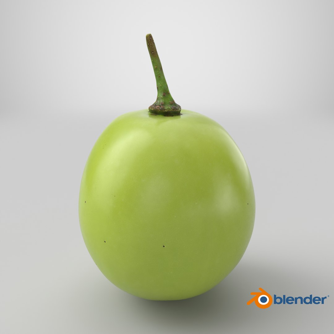 Green Grape 02 - 3D Scanned model https://p.turbosquid.com/ts-thumb/vh/kud91p/S5/stemcell_blender_cycles_render/png/1782395387/1920x1080/fit_q87/165f3c2d2fe7f0ccae1990b60ef4bf797779dd08/stemcell_blender_cycles_render.jpg